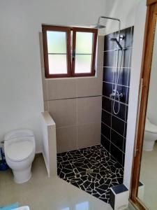 a bathroom with a shower and a toilet at Okaina Studio Rooftop in Cabarete