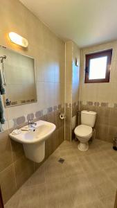 a bathroom with a sink and a toilet and a mirror at Kaloyanova House Bansko in Bansko