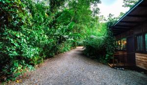 Zahrada ubytování La Shamana - Ecological Concept in Jungle