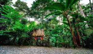 Zahrada ubytování La Shamana - Ecological Concept in Jungle