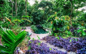 Zahrada ubytování La Shamana - Ecological Concept in Jungle