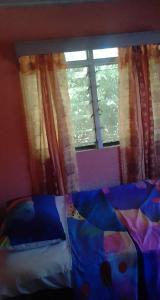 1 dormitorio con cama y ventana en Kapeta Cabin 