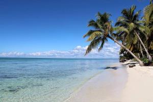 een strand met twee palmbomen en de oceaan bij Luxury Villa in Punta Cana in Punta Cana