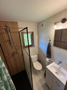 a bathroom with a toilet and a sink at Przytulny Domek z Banią in Brzozowa