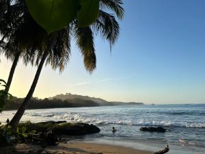 プエルト・リモンにあるApartamento caribe surのヤシの木と水中の人々が生息する浜