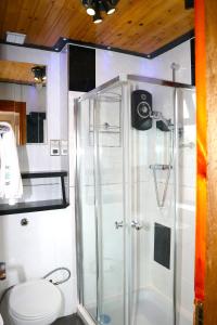 uma casa de banho com um chuveiro e um WC. em Duddingston Guest House em Edimburgo