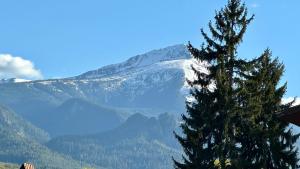 Fotografie z fotogalerie ubytování Kaloyanova House Bansko v destinaci Bansko + 19 fotografií