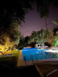 a swimming pool in a yard at night at villa les oliviers in Port El Kantaoui