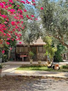 uma casa com uma árvore com flores cor-de-rosa em villa les oliviers em Port El Kantaoui