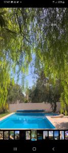 uma grande piscina azul sentada debaixo de uma árvore em villa les oliviers em Port El Kantaoui