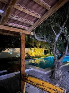 a swimming pool with a tree in the middle at villa les oliviers in Port El Kantaoui