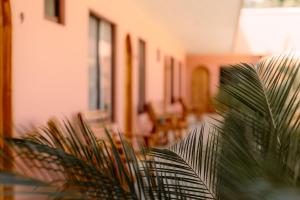 Imagen de la galería de Hotel Amavi, en Jacó