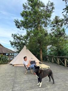 Domácí mazlíčci ubytovaní s hosty v ubytování Huân Đậu Đậu Homestay + 37 fotografií