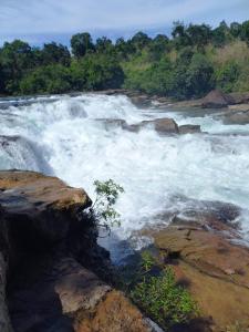 a river with white water rapids on the rocks at Rene's Pasta Bar & Guesthouse in Koh Kong