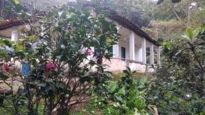 una casa con un albero di fronte di Chalé na floresta com varanda a Ouro Preto