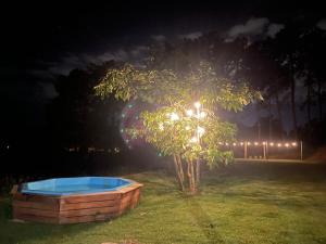 a tree with lights on it in a yard at night at Viva momentos únicos com quem você realmente gosta in Juiz de Fora
