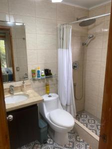 ein Bad mit einem WC, einer Dusche und einem Waschbecken in der Unterkunft Casa veraneo Consistorial El Tabo Chile in El Tabo