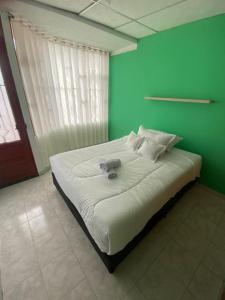 a bedroom with a large bed with a green wall at Casa amplia con garaje in Fusagasuga