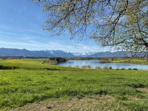 - une vue sur un lac avec des montagnes en arrière-plan dans l'établissement Ammergauer Vier Jahreszeiten, à Bad Kohlgrub