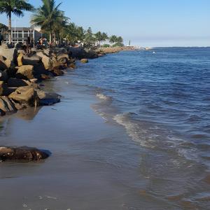 una playa con rocas, palmeras y el océano en Hostel Sorocabana Beach, en Itanhaém
