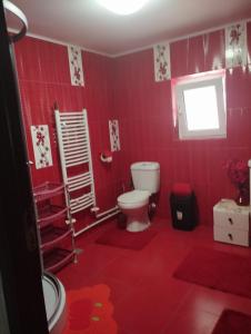 een rode badkamer met een toilet en een raam bij Vila la 4 Turturici in Năvodari