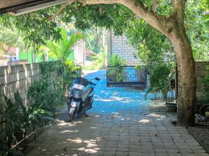 Zahrada ubytování Three V Homestay