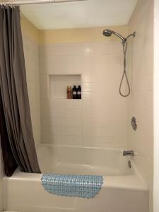 a bathroom with a bath tub with a shower at City Oasis in Issaquah