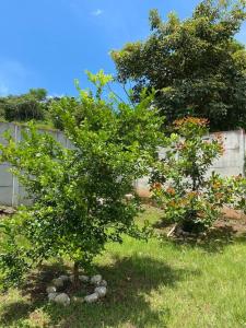 Giardino di Full house with 2 bedrooms and private pool, 5 guest