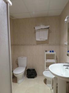 a bathroom with a toilet and a sink at Hotel Alain in Silla