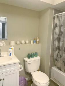 a bathroom with a toilet and a sink and a shower at Premier Affordable Barrie Suite in Barrie