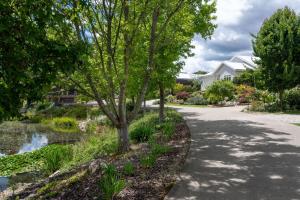 a tree on the side of a road at The Banks in Beechworth