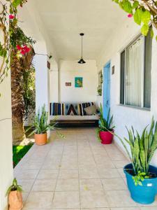 d'une terrasse avec des plantes en pot et un canapé. dans l'établissement Casa Kante, à San José del Cabo