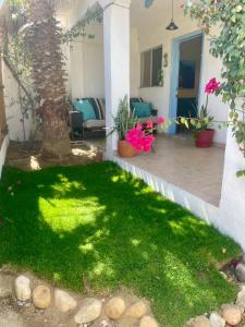 podwórko z zieloną trawą i kwiatami w domu w obiekcie Casa Kante w mieście San José del Cabo