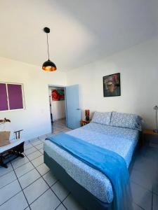 um quarto com uma cama com um edredão azul em Casa Kante em San José del Cabo