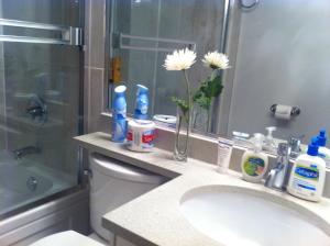 uma casa de banho com um lavatório e um vaso com flores em Edmonds Home em Burnaby