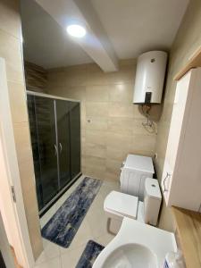 La salle de bains est pourvue de toilettes et d'une douche en verre. dans l'établissement Tregu Fatoni #2 prizren city 3 bedroom apartment, à Prizren
