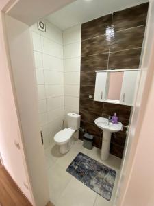 La petite salle de bains est pourvue de toilettes et d'un lavabo. dans l'établissement Tregu Fatoni #2 prizren city 3 bedroom apartment, à Prizren