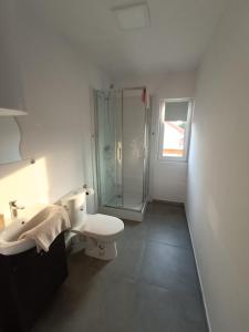a bathroom with a shower and a toilet and a sink at Apartamenty Kwiat Jabłoni in Mikołajki