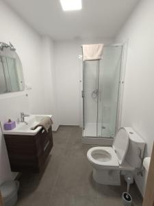 a bathroom with a shower and a toilet and a sink at Apartamenty Kwiat Jabłoni in Mikołajki
