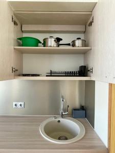 a kitchen with a sink and shelves with pots and pans at Green Side Apartment in Tartu