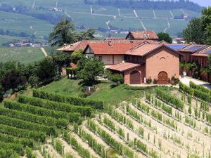 a house on a hill next to a field of vines at Tenuta Montanello B&B in Castiglione Falletto