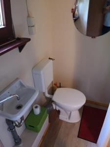 a bathroom with a white toilet and a sink at Villa Eden Peene Tiny House in Gützkow