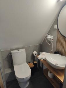ザコパネにあるWilla Na Wierchuのバスルーム(白いトイレ、シンク付)