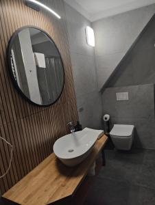 a bathroom with a sink and a mirror and a toilet at Willa Na Wierchu in Zakopane