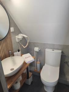 y baño con aseo blanco y lavamanos. en Willa Na Wierchu, en Zakopane