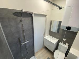 a bathroom with a shower and a toilet and a sink at Au 3 rue Manhès in Albi +36 photos