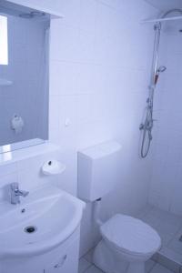 A bathroom at Sándor Apartman