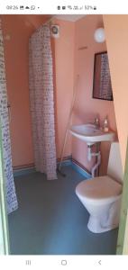 Vonios kambarys apgyvendinimo įstaigoje Stuga med loft 5 bäddar Kolmården Apartements