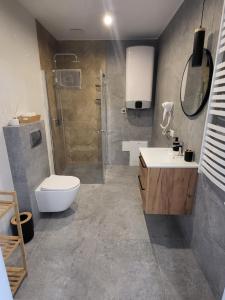 W łazience znajduje się prysznic, toaleta i umywalka. w obiekcie ApartHouse Piwna 14 w mieście Racibórz