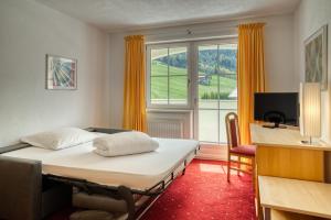 Sjónvarps- og/eða afþreyingartæki á Hotel Alpen-Royal